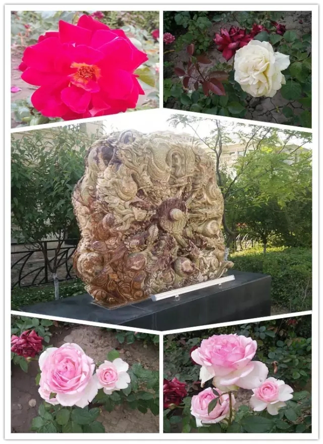 網(wǎng)勢(shì)科技6周歲生日快樂！